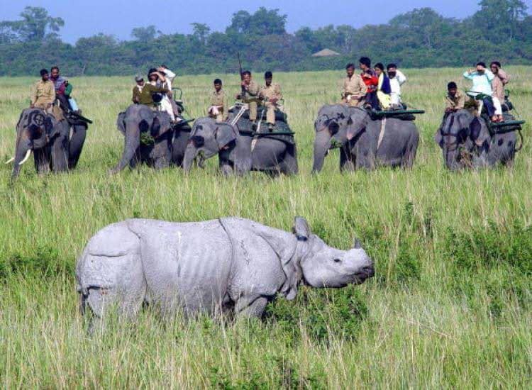 Assam